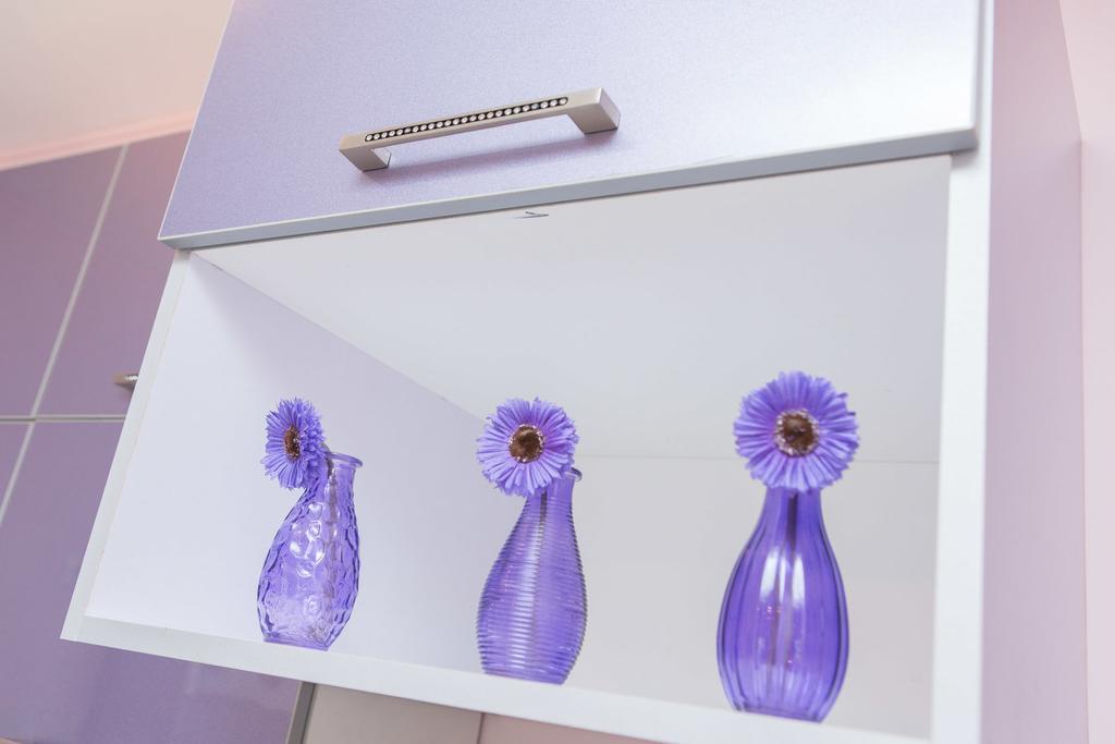 Apartman Ivana Apartment Novi Sad Ngoại thất bức ảnh